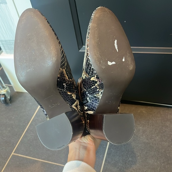 Coach knee high python boots - Picture 5 of 8